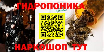 мет Можга