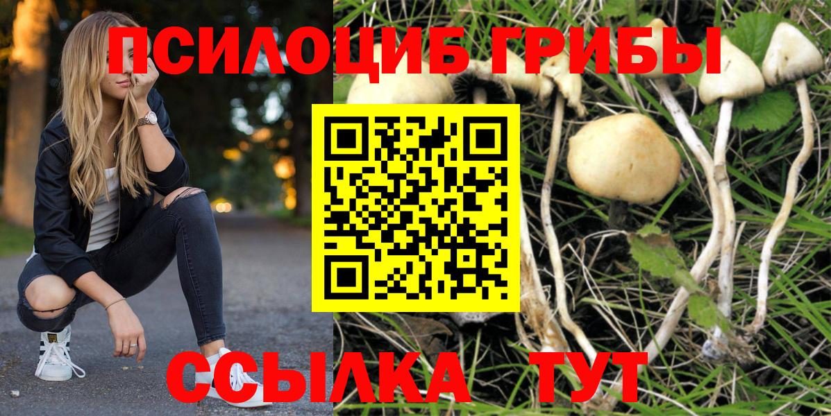 Псилоцибиновые грибы MAGIC MUSHROOMS Тихвин