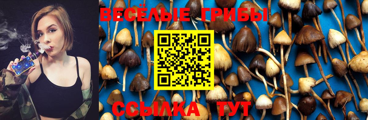 Тихвин  закладки  Вход с VPN  Галлюциногенные грибы Cubensis 